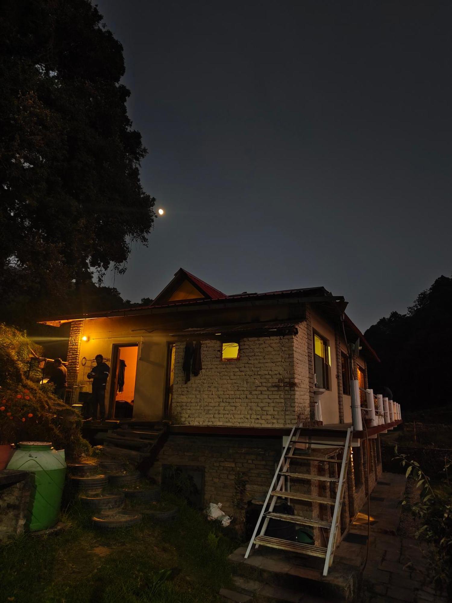 Simba Jungle Lodge, Binsar Wildlife Sanctuary Bagian luar foto