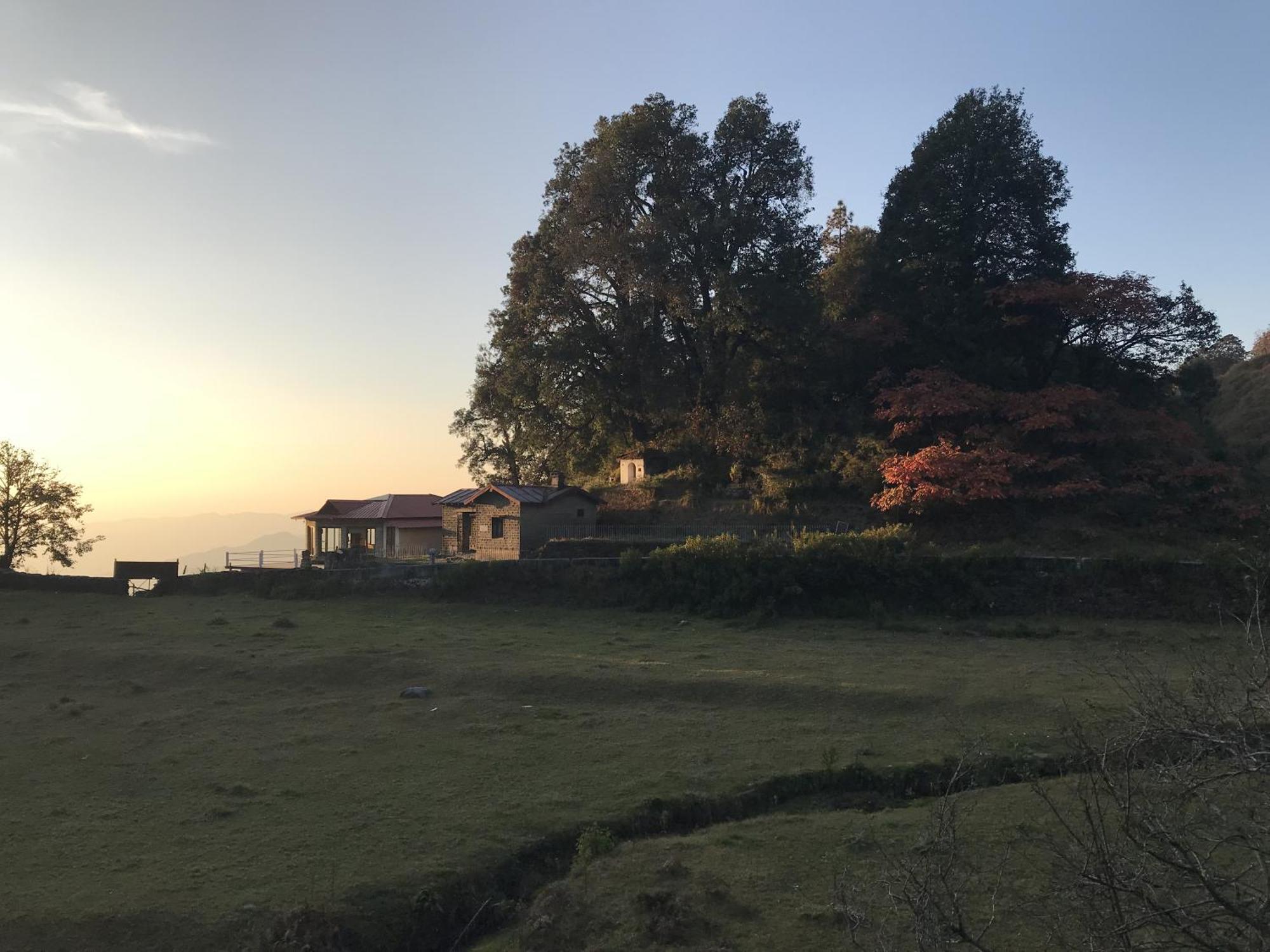 Simba Jungle Lodge, Binsar Wildlife Sanctuary Bagian luar foto