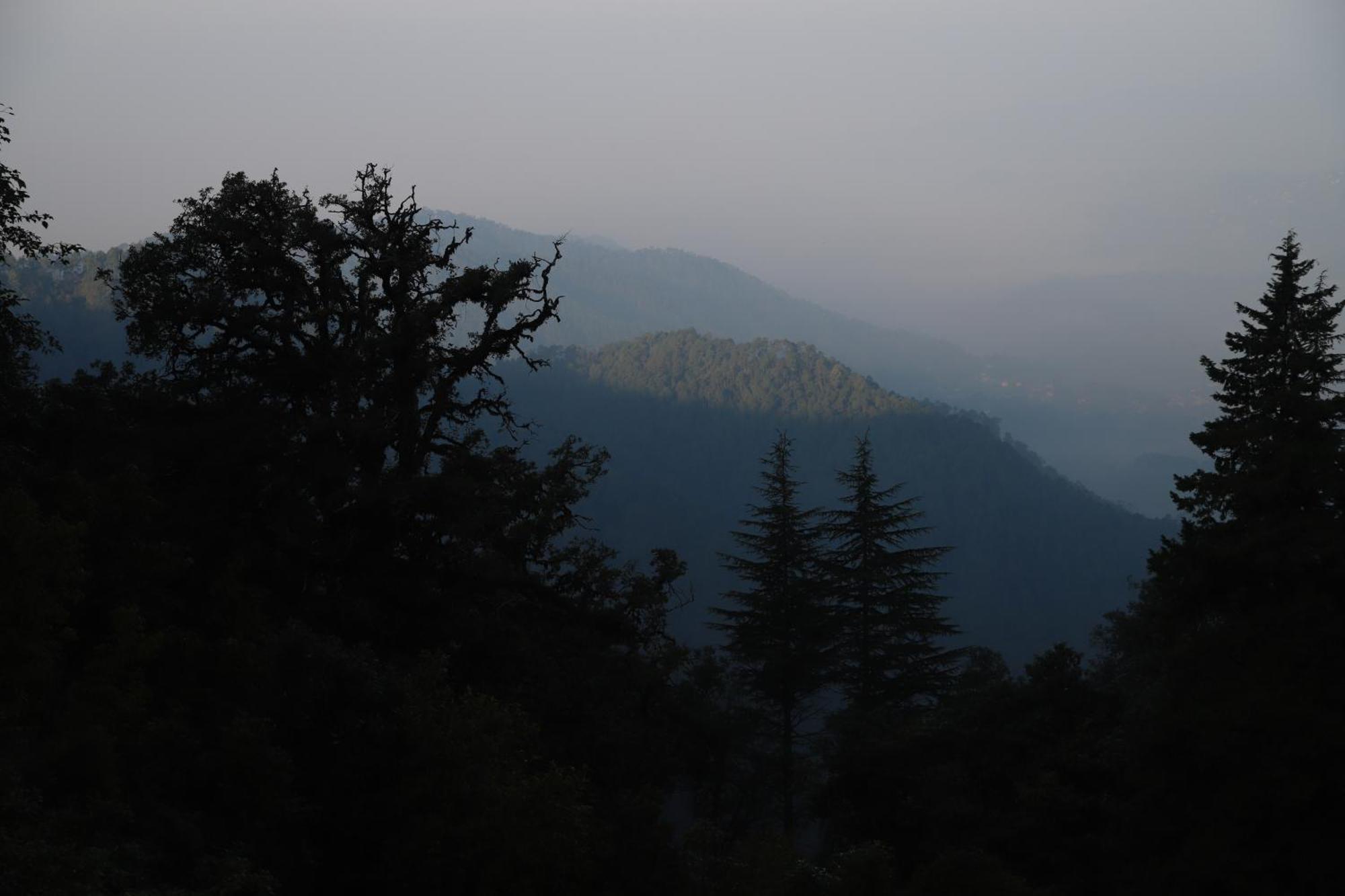 Simba Jungle Lodge, Binsar Wildlife Sanctuary Bagian luar foto