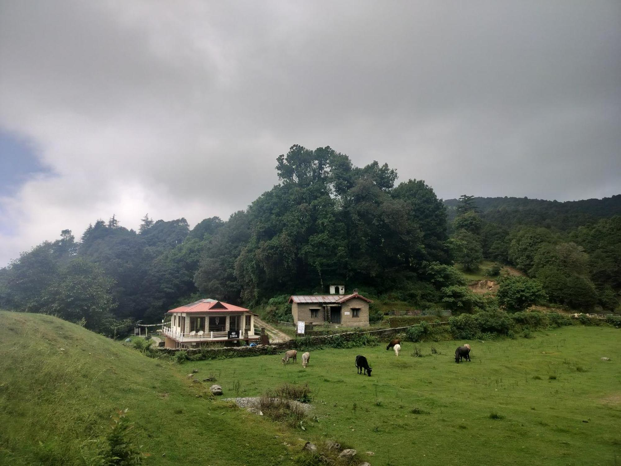 Simba Jungle Lodge, Binsar Wildlife Sanctuary Bagian luar foto